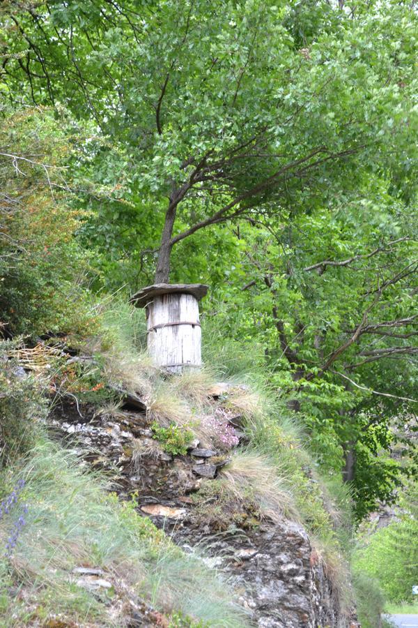 Auberge Du Tarnon Les Vanels Exteriör bild